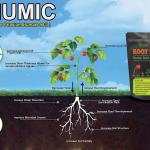 Humic Acid (98%) for Plants Organic Growth Enhancer