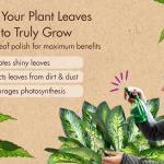 Neem Oil for Plants Organic Pest Repellent
