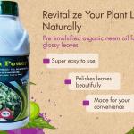 Neem Oil for Plants Organic Pest Repellent