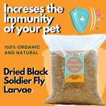 Dried Puffed Black Soldier Fly Larvae (BSF)
