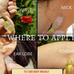 Attar Roll-On Perfumes | 3ml Each