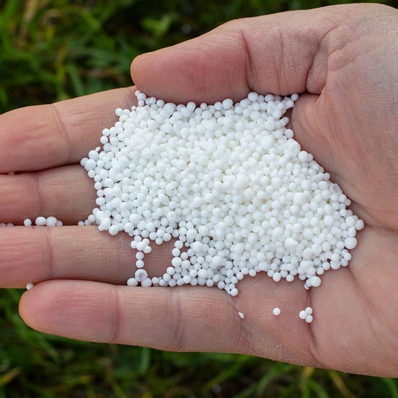 Buy Calcium Nitrate Granules for Gardening Online – Boost Plant Growth, Prevent Calcium Deficiency, Improve Fruit Quality & Root Strength – 100% Water-Soluble Fertilizer for All Plants