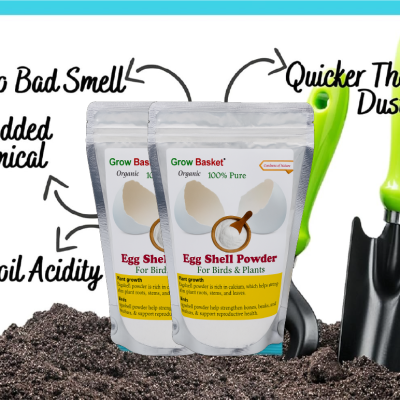 Organic Eggshell Powder for Plants – Natural Calcium Fertilizer for Home Garden, Potted Plants & Compost
