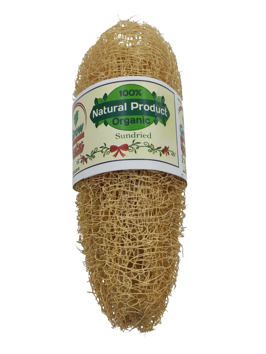 Natural Sponge Loofah-01
